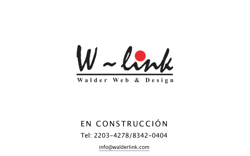 W-link, diseno y programacion websites